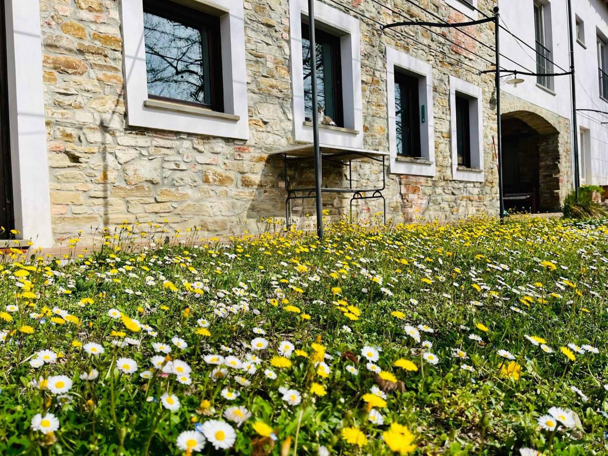 B&B Al Giardino Dei Mandorli Prasco Eksteriør billede