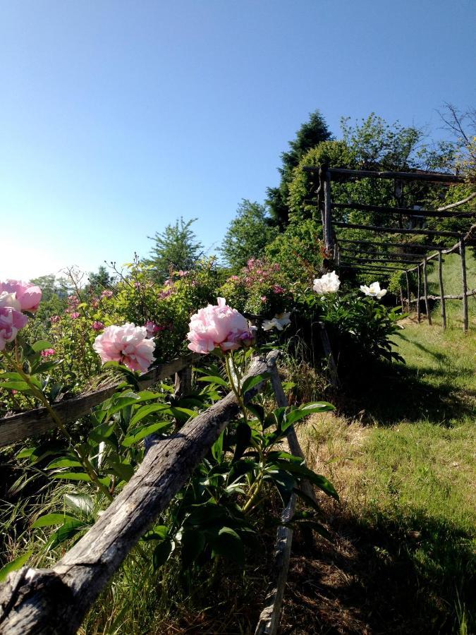 B&B Al Giardino Dei Mandorli Prasco Eksteriør billede